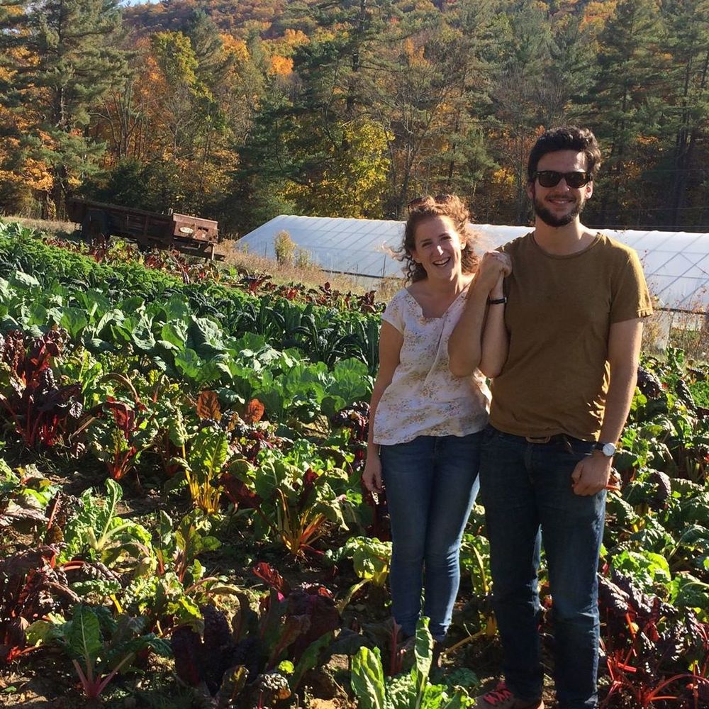 Meet your Posher, Berina